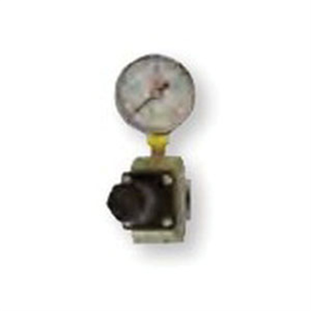 Reading Technologies  RG25 Regulator and Gauge Assembly, 1/4 in