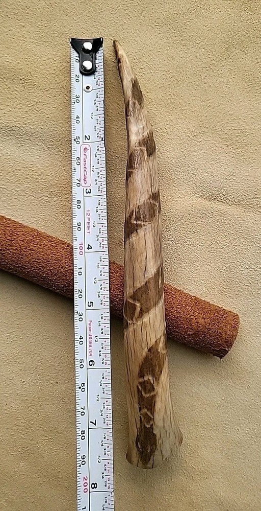 Black Powder Measure Deer Antler 65 grain muzzleloader