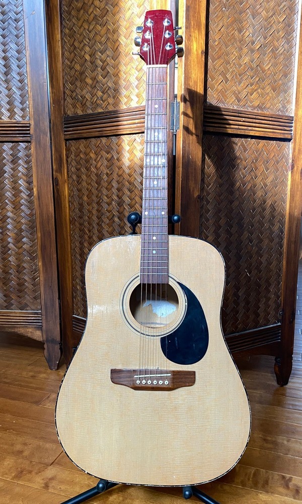 VINTAGE PALMER Acoustic