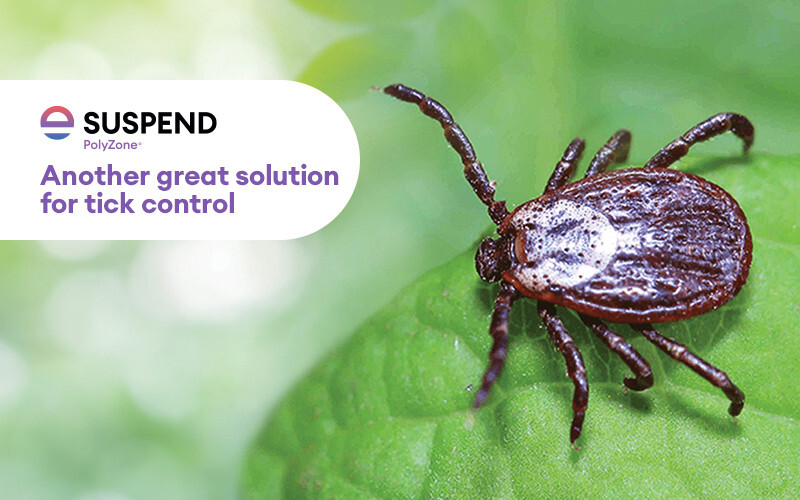 16 oz Suspend POLYZONE Insecticide ~ Ant Roach Flea Tick Bed Bugs Insect Control