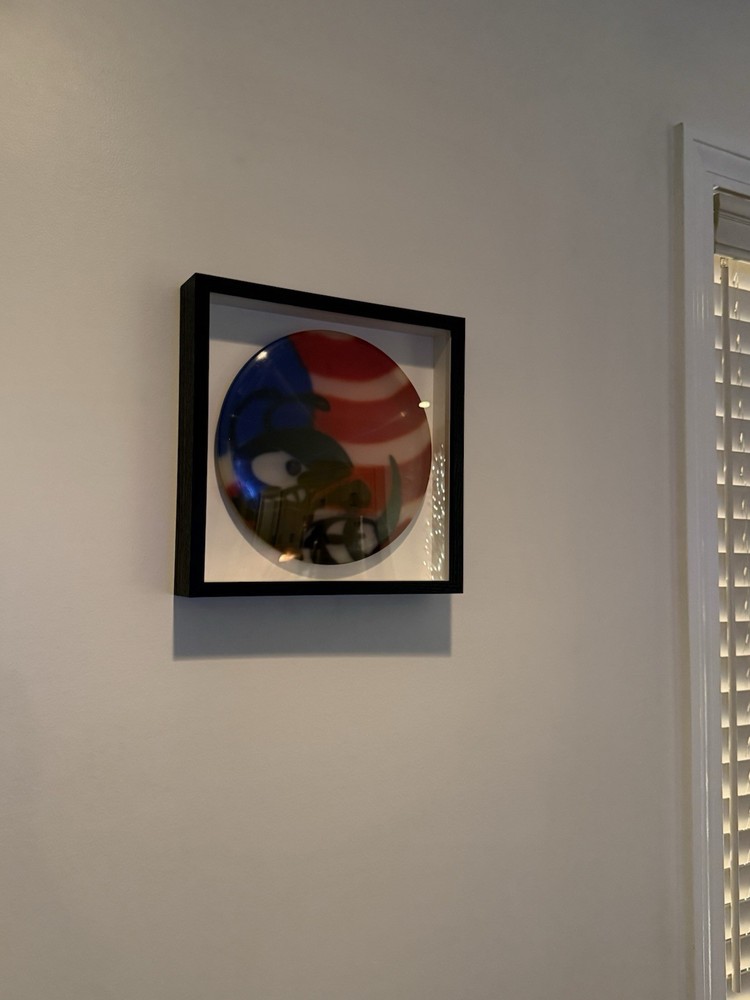 Discplay Disc Golf Disc Display Case Modular Wall Mount Frame for Discs