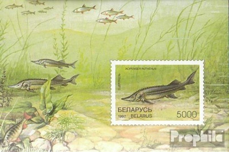 Belarus block15 (complete.issue.) unmounted mint / never hinged 1997 Fish