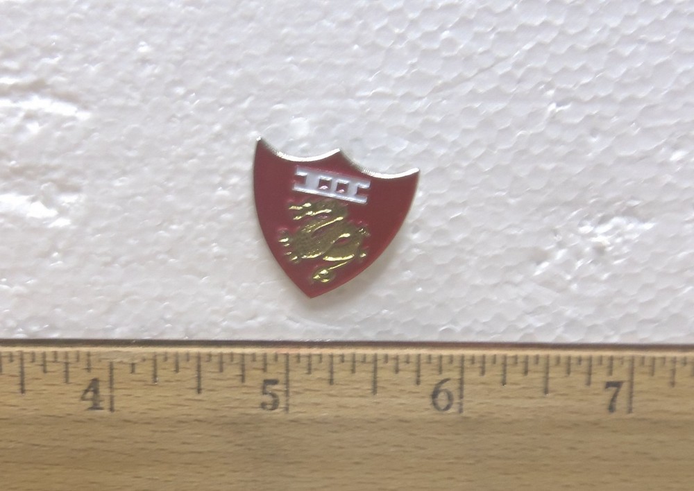 USMC 3rd Amphibious Corps Pin