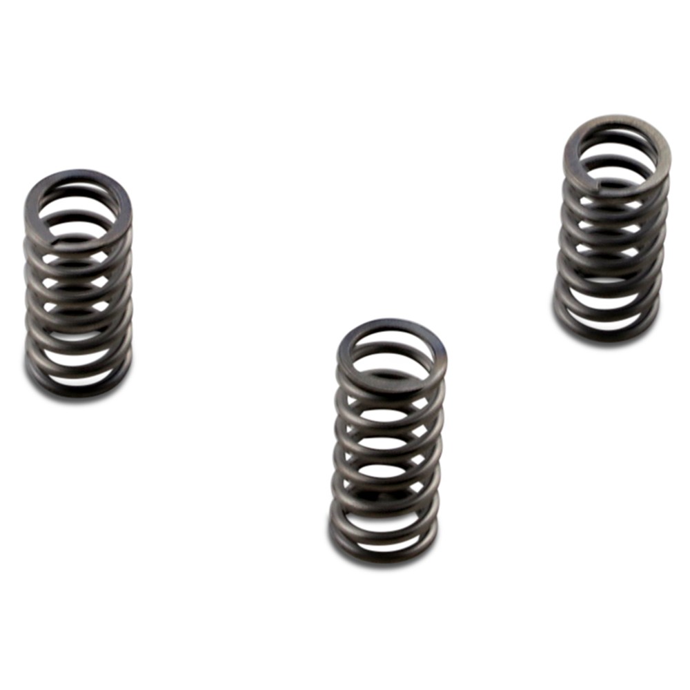 EBC CSK Clutch Spring Kit - CSK235
