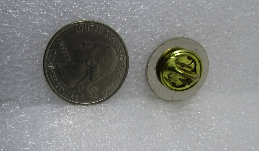 Tiger Sports Pin