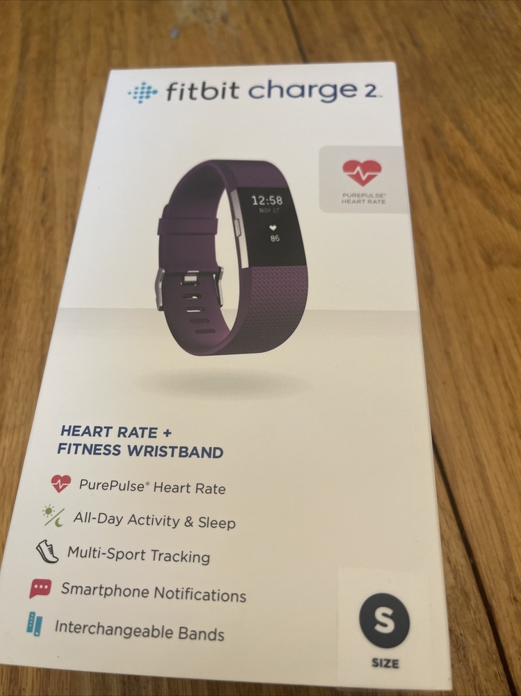 Fitbit FB407STES Fitness Tracker