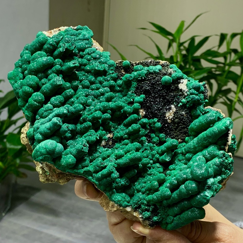 2.34LB Natural Malachite rysocolla transparent cluster rough mineral Sample