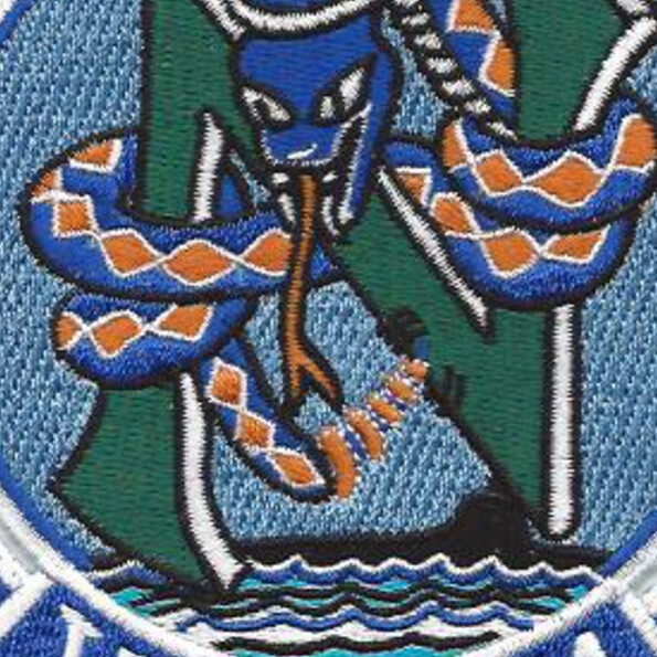 VAW-111 Airborne Carrier Early Warning Squadron Patch