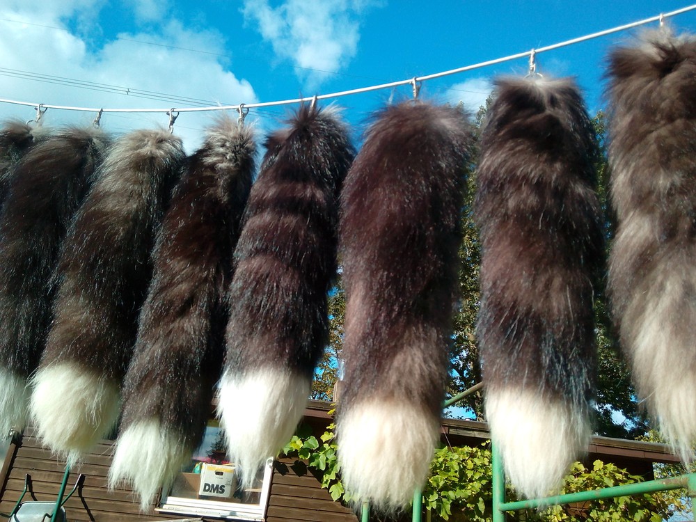 Foxtail Fox Tail Tail Fox Tail Fox Rod Silver Fox Pendant