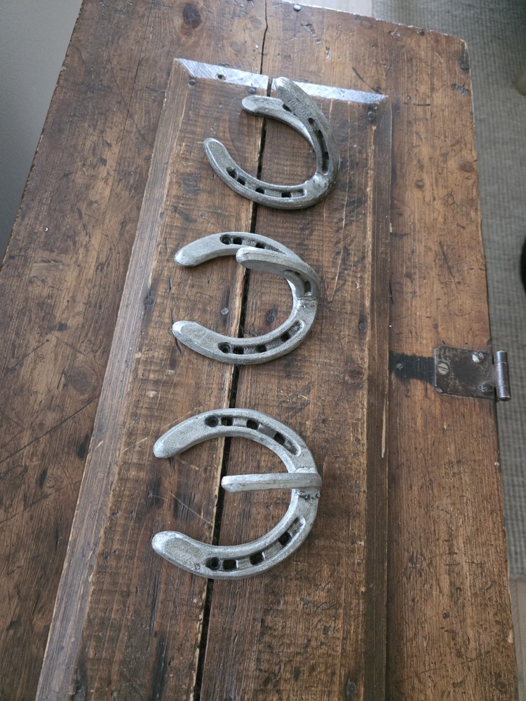 🔥 3 Cast Iron "Horseshoe" Hooks