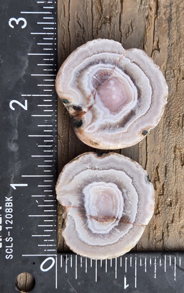 Botswana Agate Cut In Half - Rough, Natural, Not Polished