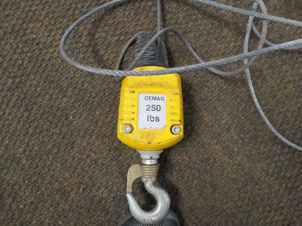 Demag 250LB Hoist