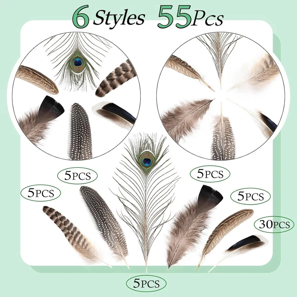 Natural Feathers Bulk - 55PCS - 6 Styles Assorted Natural Feathers, Peacock Feat