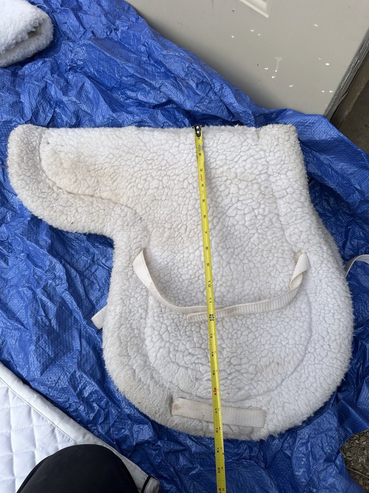 English Show Pad