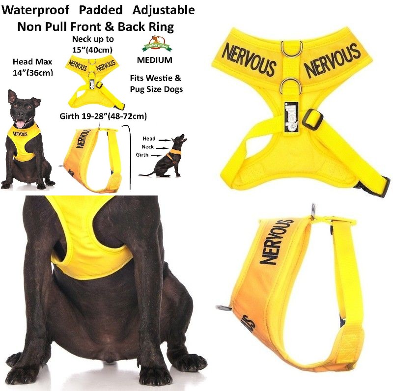 Nervous Yellow Color Coded Waterproof Padded Adjustable Non Pull Front and...