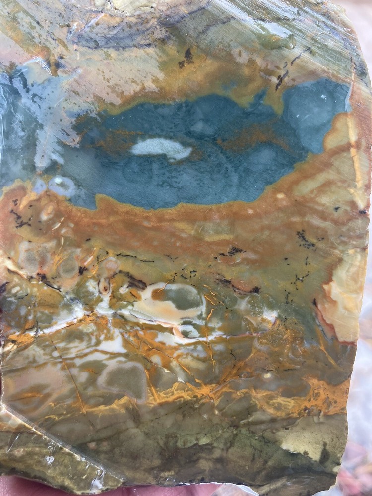 Oregon Jasper Slab