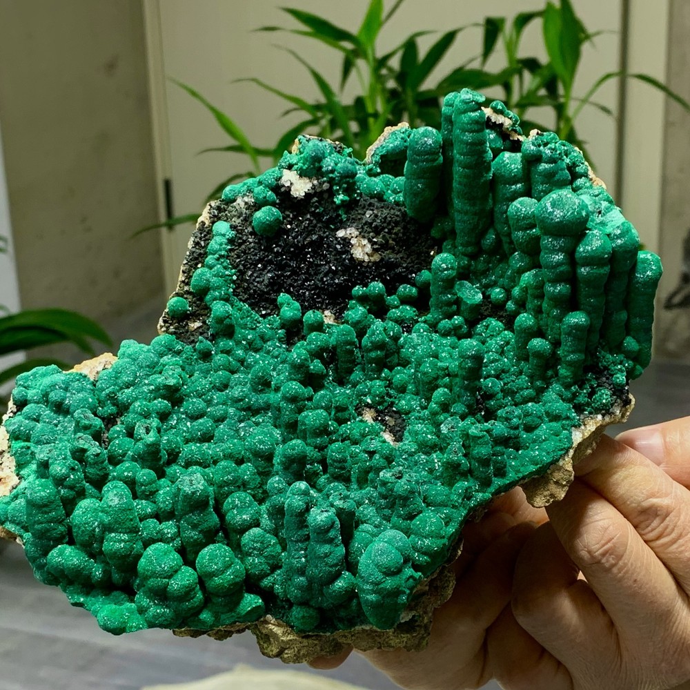 2.34LB Natural Malachite rysocolla transparent cluster rough mineral Sample