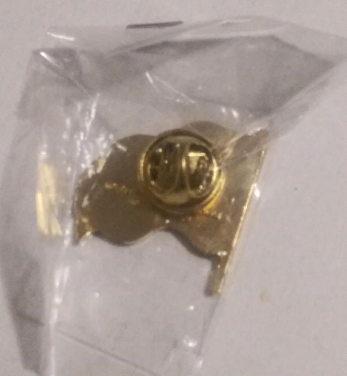 Bear Pride Wavy Flag Lapel Pin