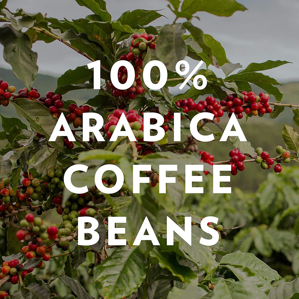 and Chicory Medium-Dark Roast Ground Coffee, 12 Oz