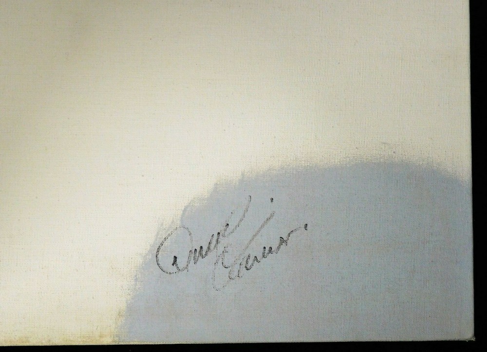Lily Tomlin and Donald O'Connor Signed 12x16 Mounted Canvas JSA Authenticated