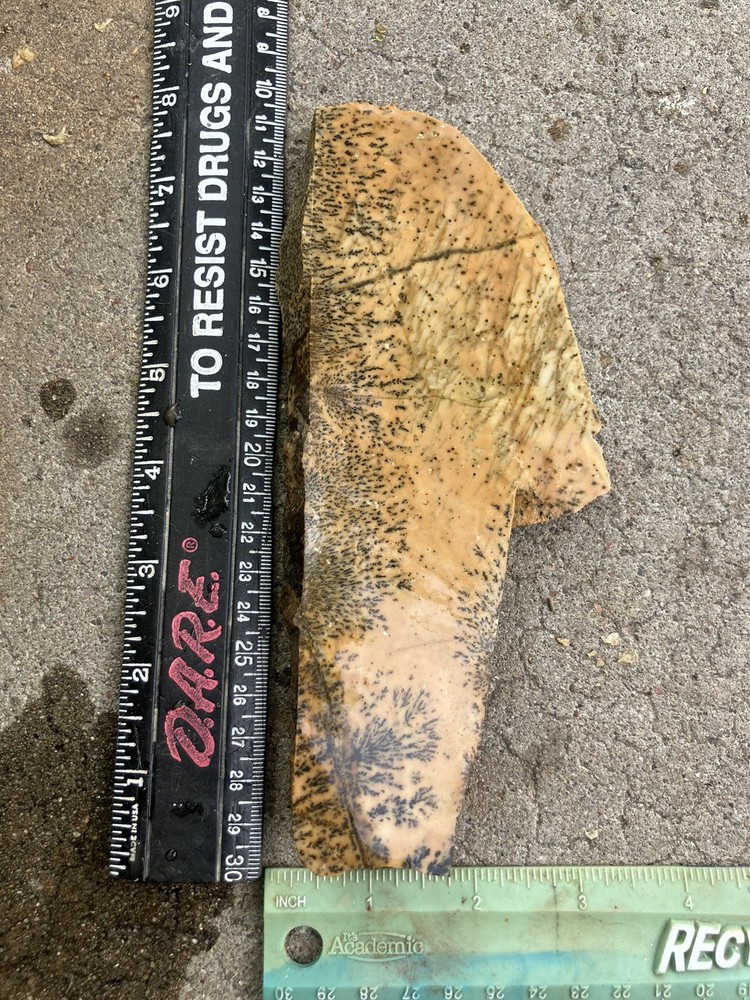 Dendritic Rhyolite Slab