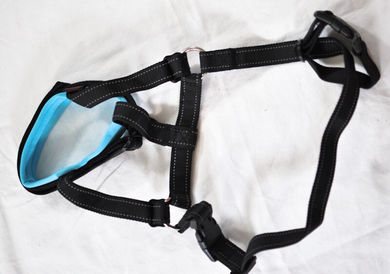 dog muzzle for barking, biting & chewing adj. loop soft padding XL 13-17" snout