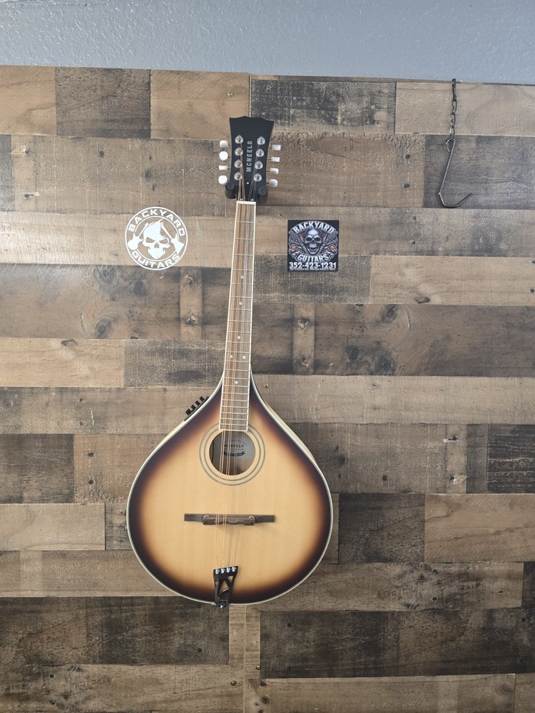 Mcneela ElectroMandolin Clean