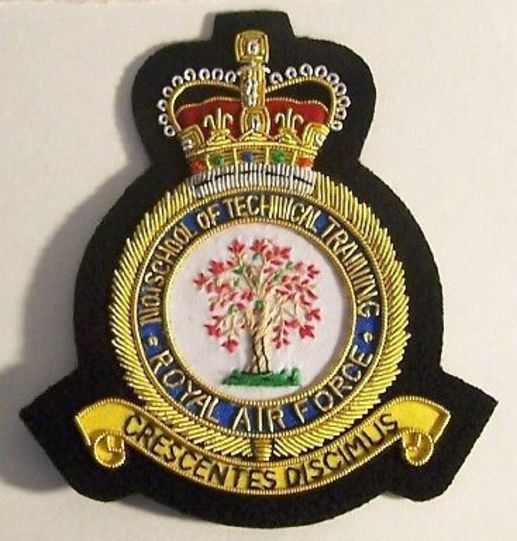 UK Britain RAF Technical Training Unit Station HQ Squadron WWII Patch Air Force