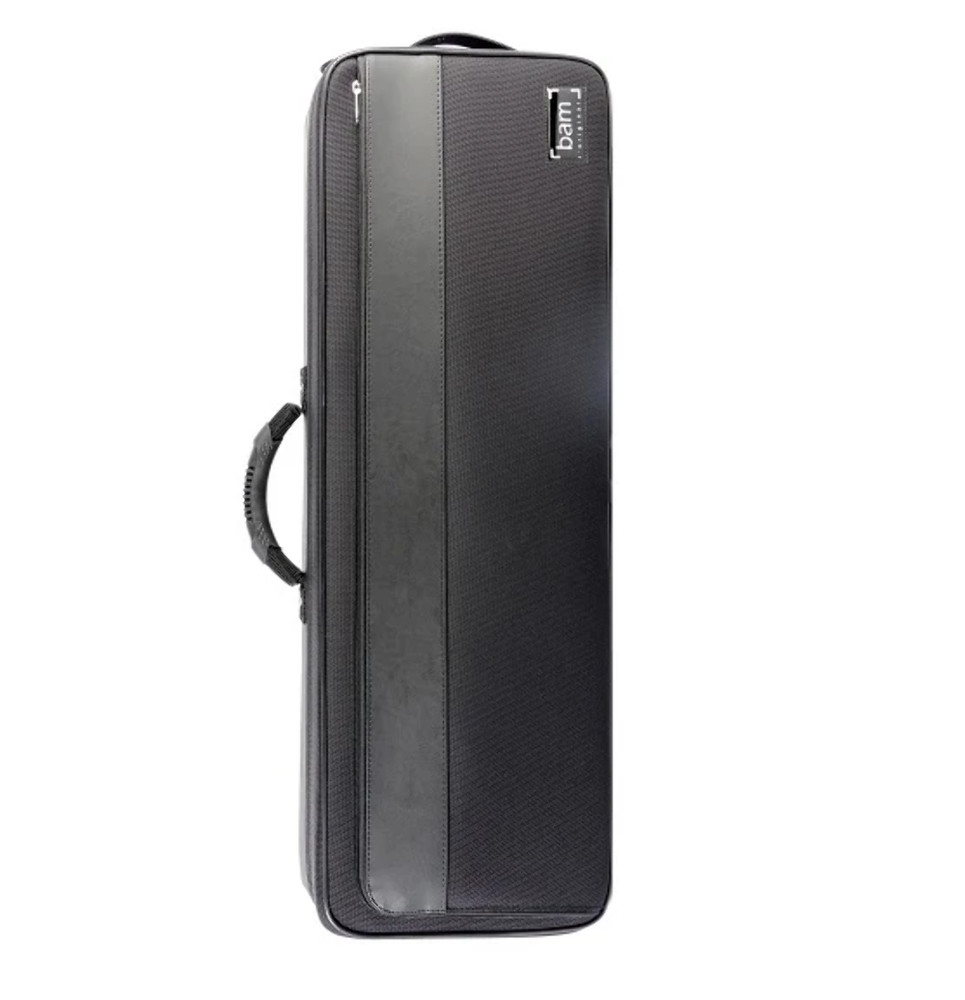Bam Artisto Violin Case 2002B