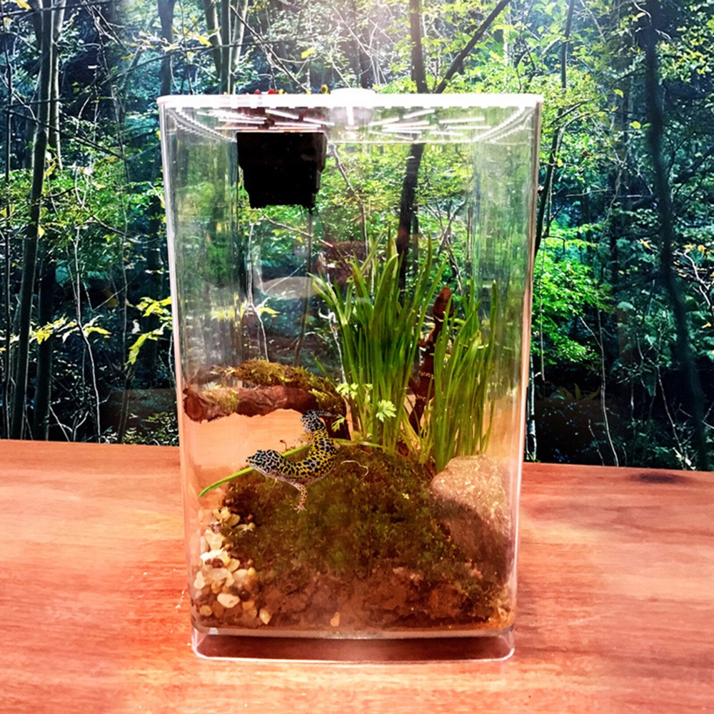 Transparent Desktop Reptile Box Acrylic Reptile Breeding Box with LED Light