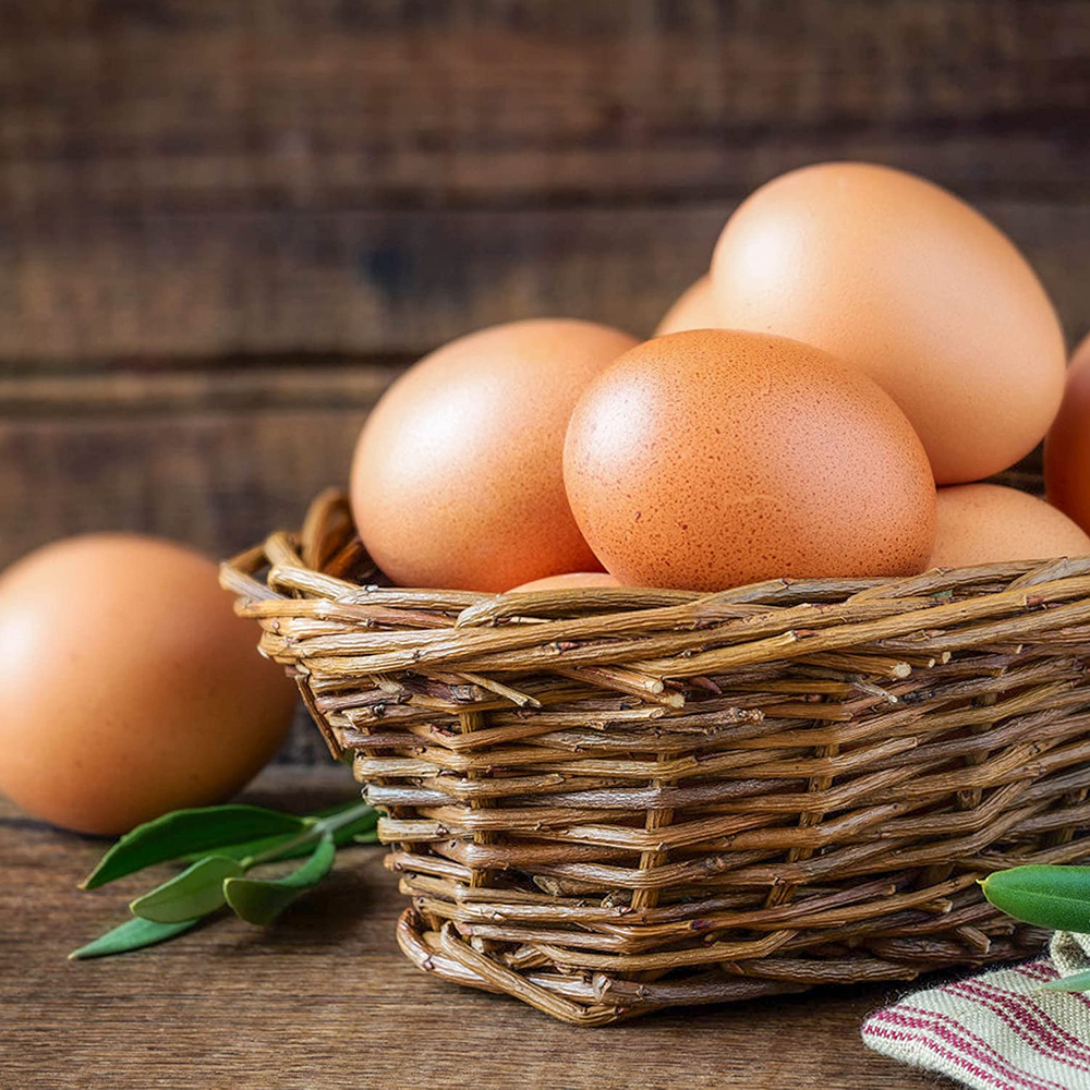 Craft Easter Eggs for Nest Wooden Eggs for Chickens