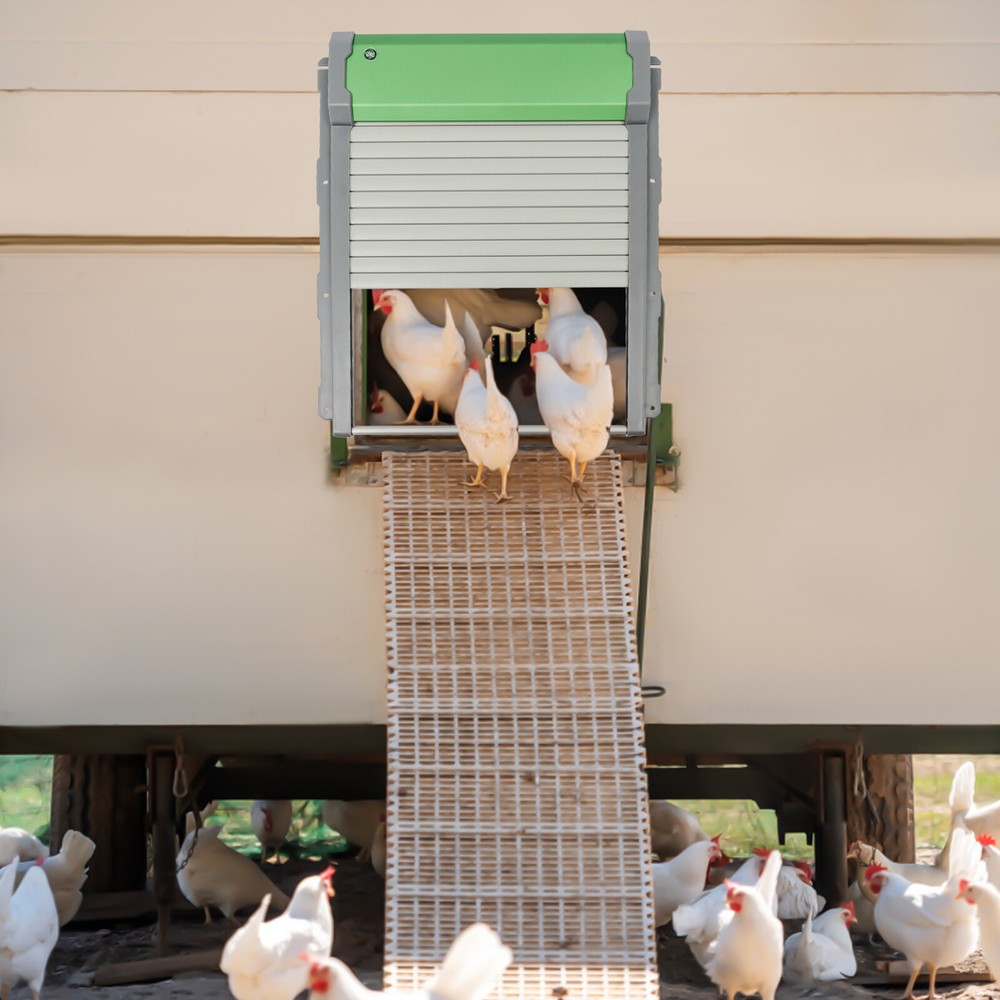Solar Powered Automatic Chicken Coop Door with Light Sensor & Remote Control