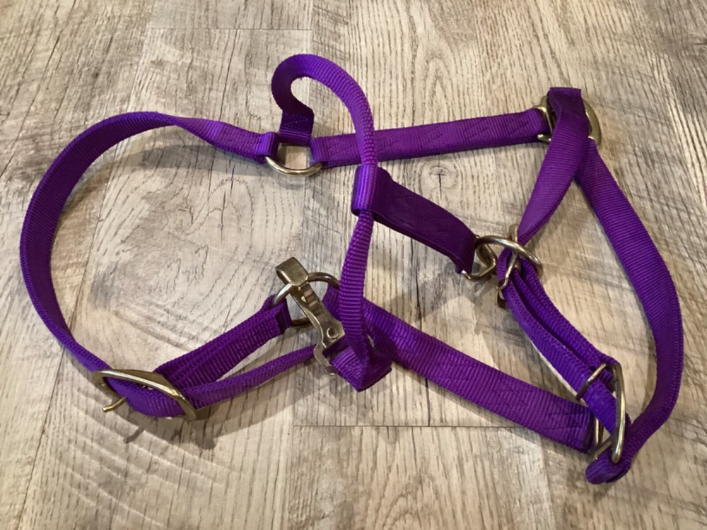 Large Horse Adjustable Halter - Purple