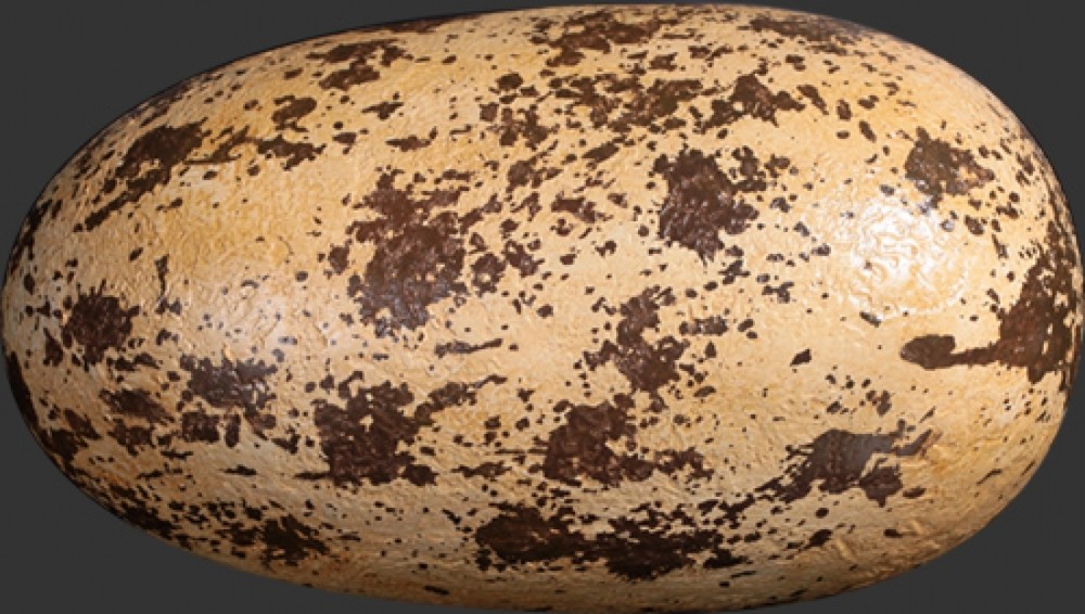 Dinosaur Theropod Egg 12"