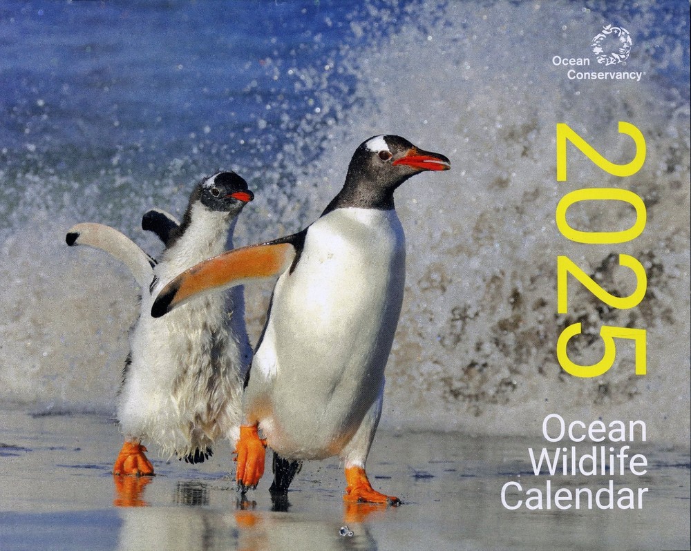2025 Ocean Wildlife Calendar - Ocean Conservancy