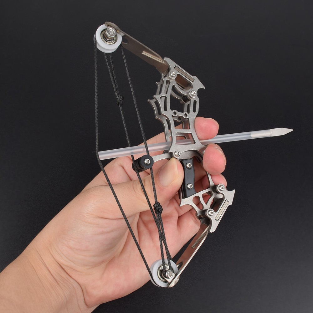 MINI Archery Compound Bow Type with 12 Arrows for Hunting Shoot Target Practise