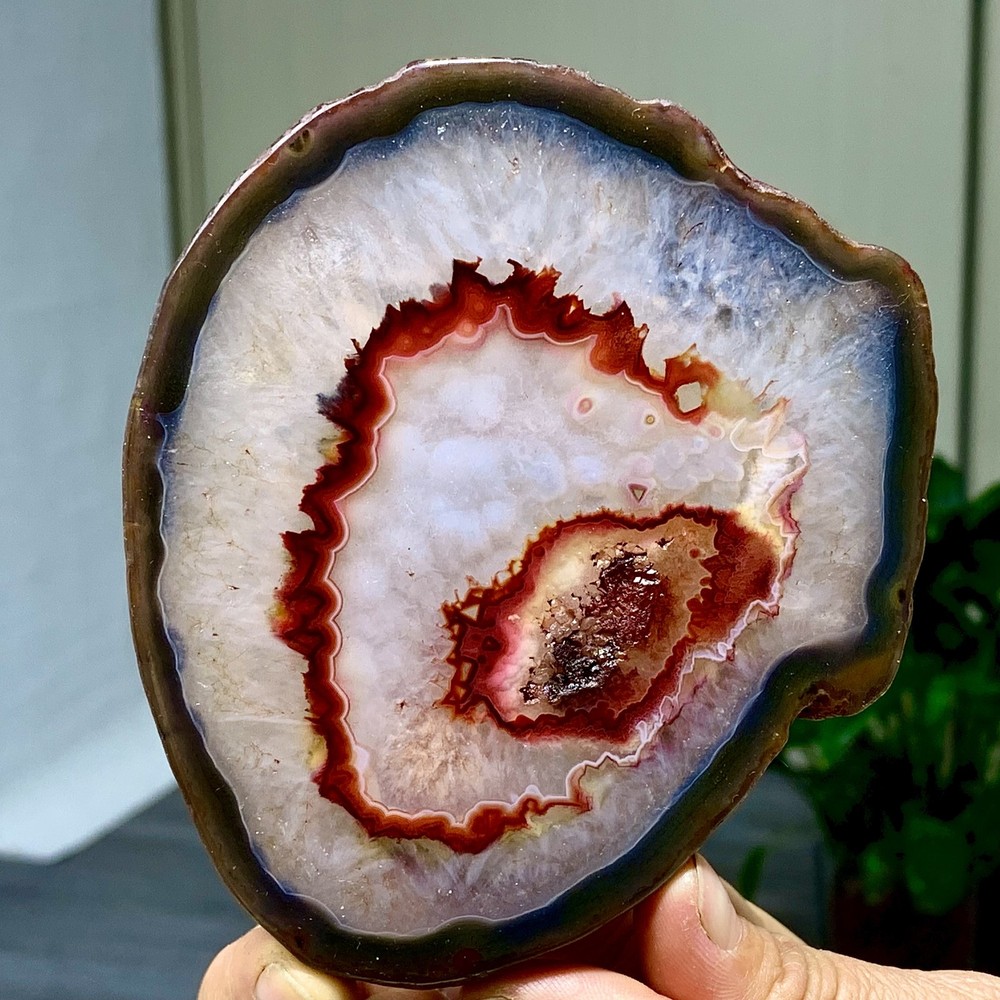 287G Natural Beautiful Agate Geode Druzy Slice Extra Large Gemstone