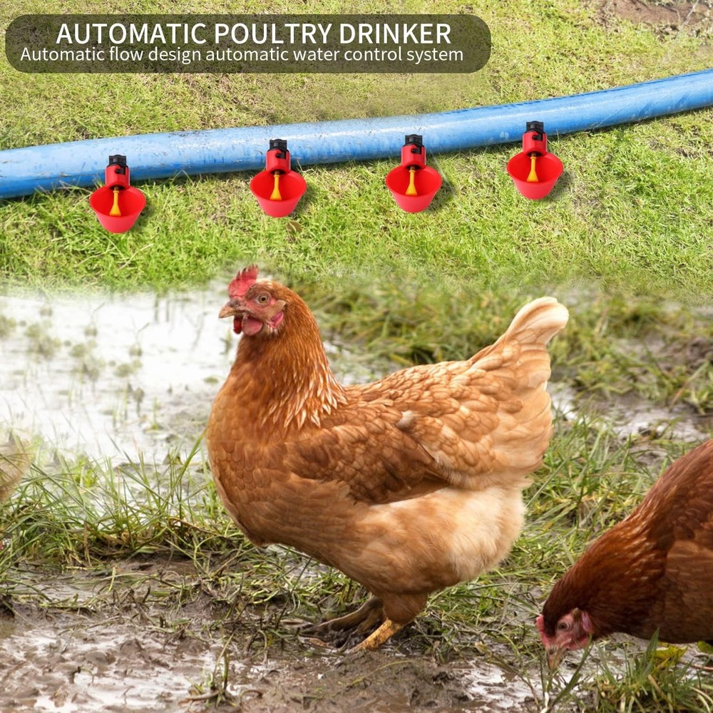 12Pack Automatic Chicken Waterer Cups - Hassle-Free Bird Hydration Solution