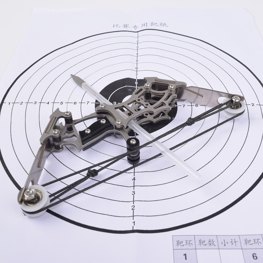 MINI Archery Compound Bow Type with 12 Arrows for Hunting Shoot Target Practise