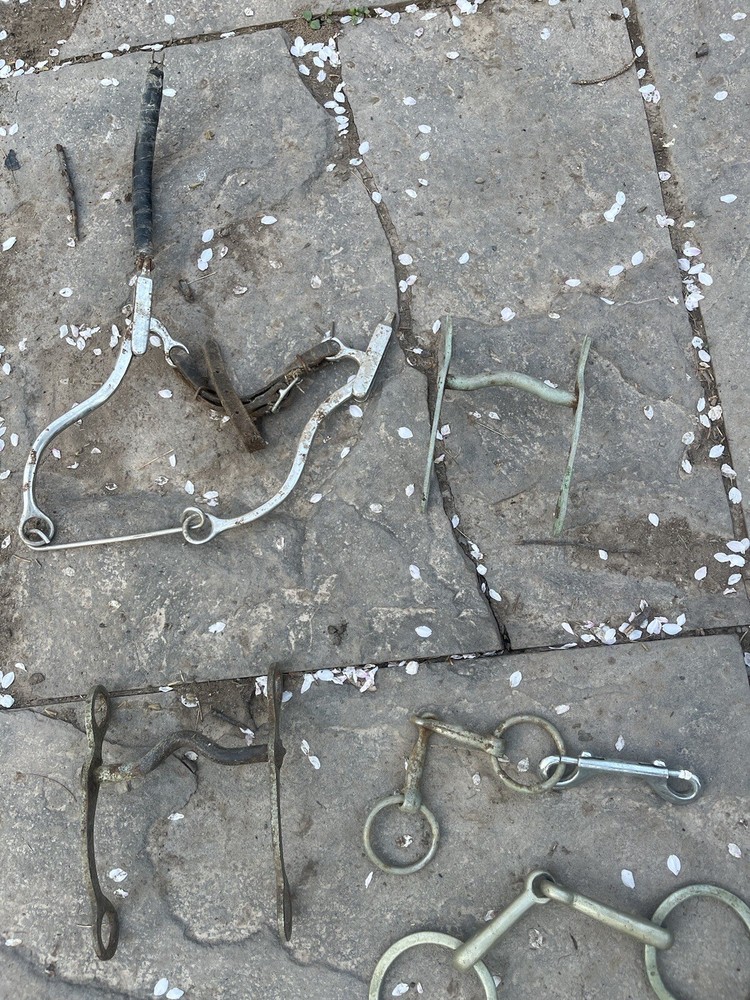Vintage Horse Bits And Harness