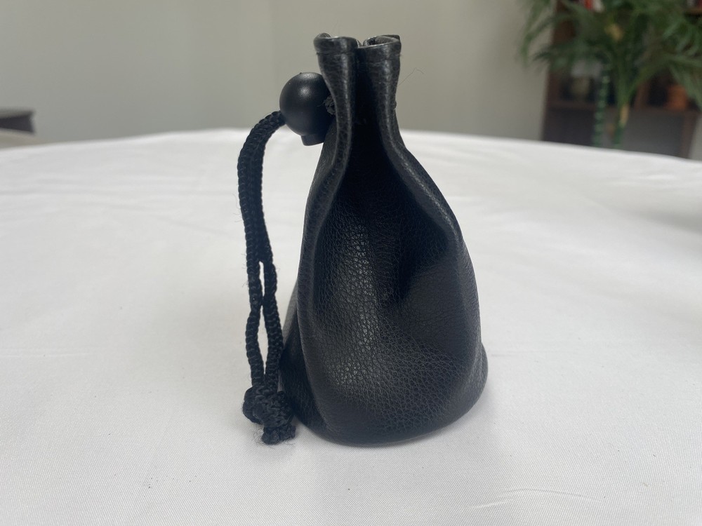 Original Pentax Lens Pouch