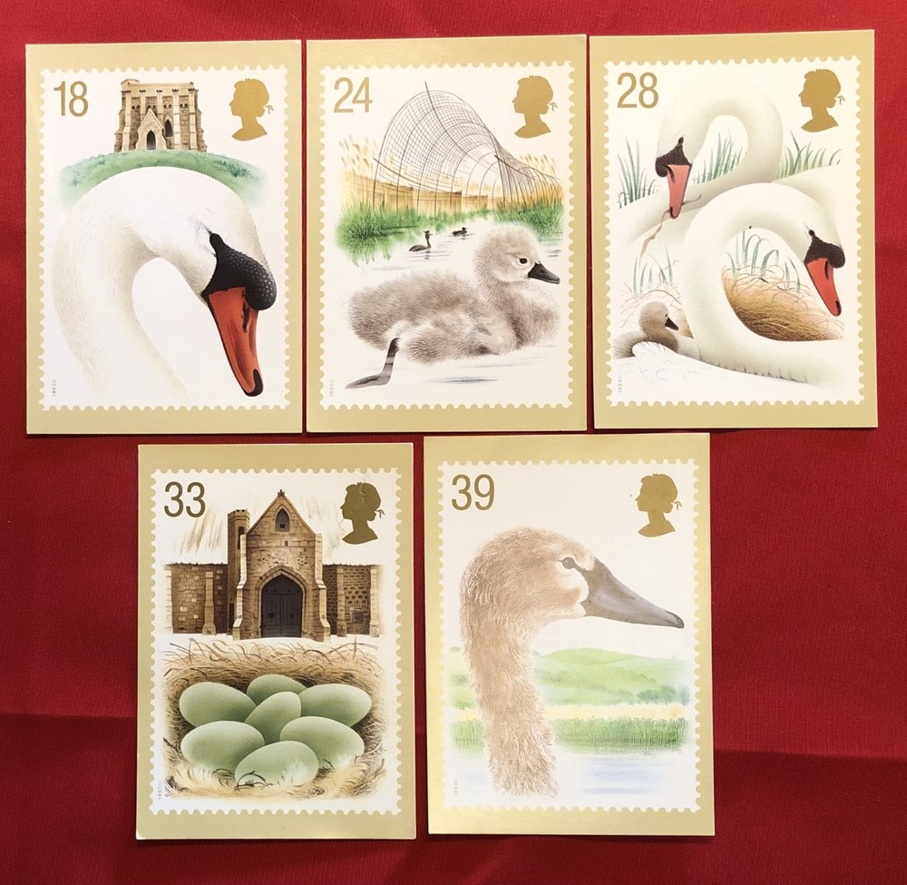 1993 PHQ149 Postcard x 5 - Swans