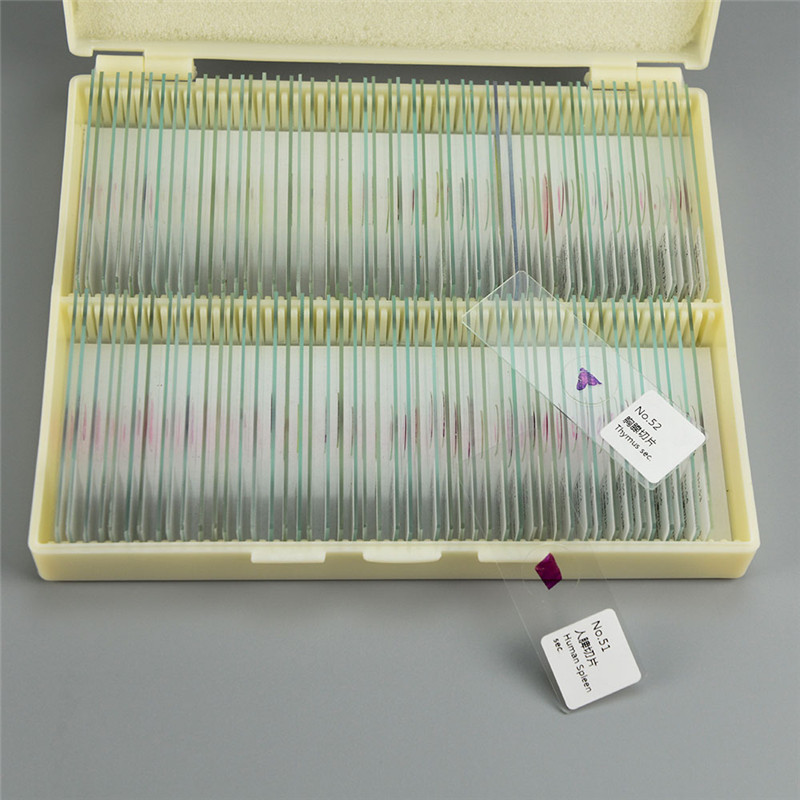 100PCS Mammals Pathology Microscope Prepared Slides Set Specimen