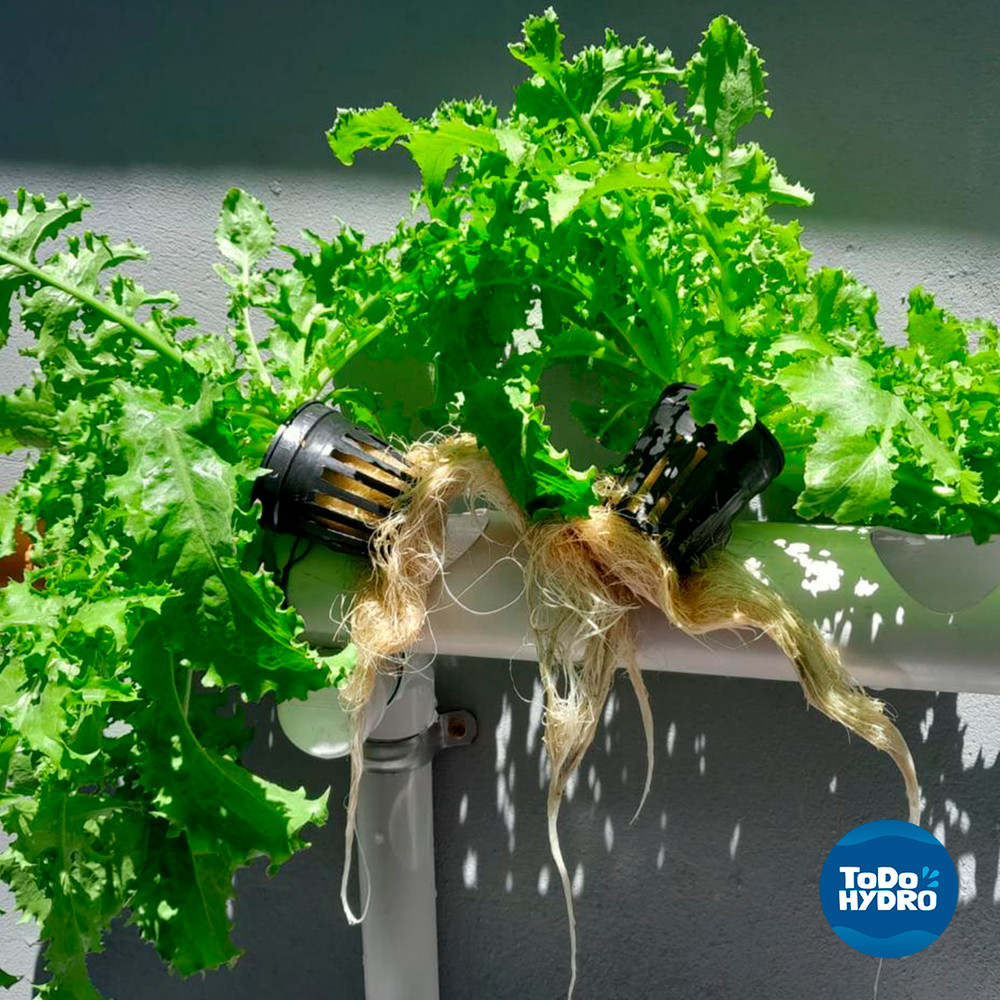 Hydroponic Kit N5A NFT System 16 Plants Complete Garden with Nutrient & Seeds