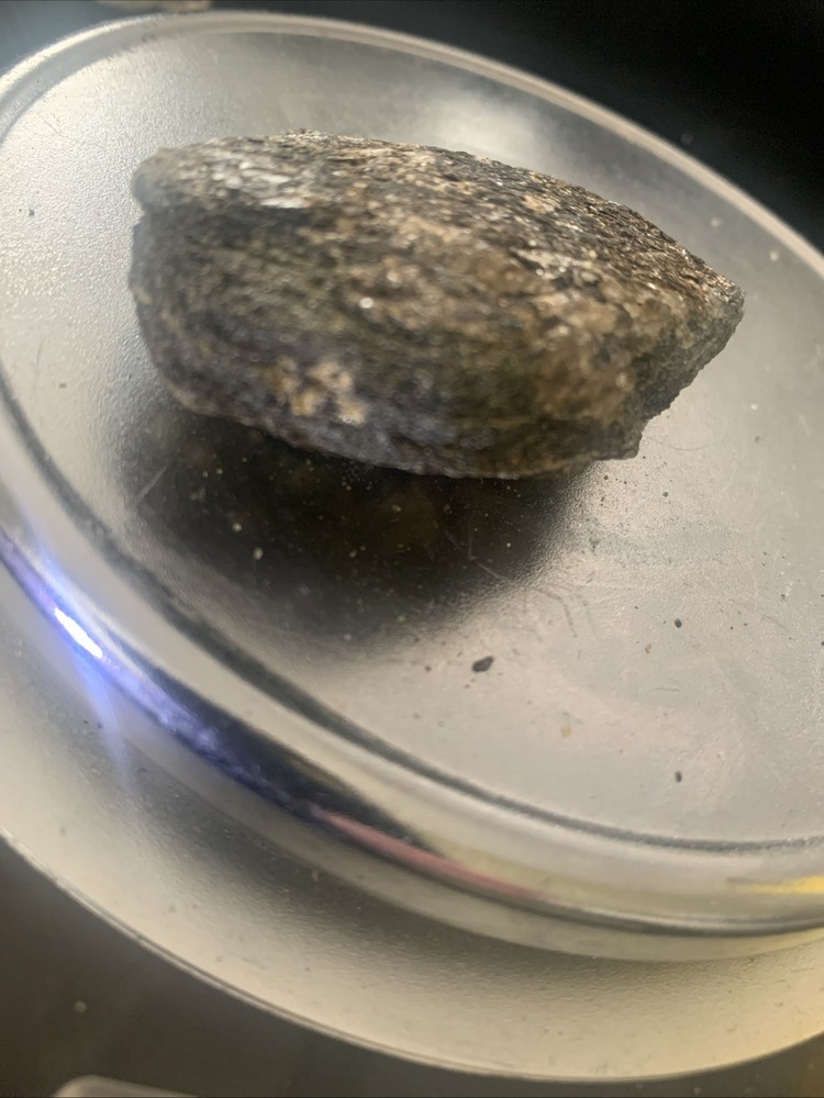 Gold Ore Schist w/ Electrolytic Specimen 77g