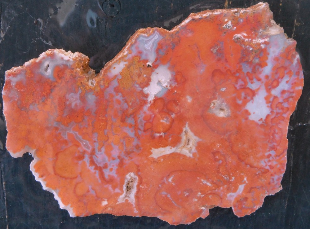 Red Agate lapidary cabbing slab from Durango Mexico 4mm thick