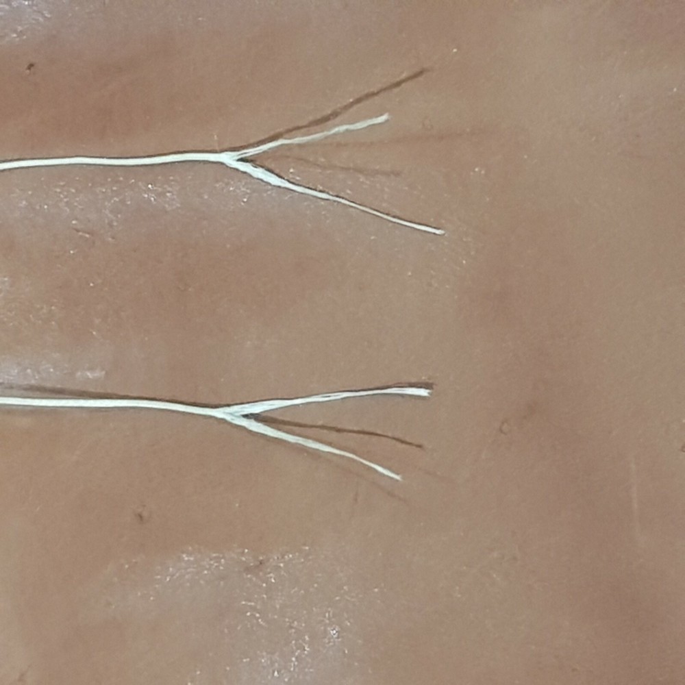Shoemakers Needle Wax Thread Wire Needles Bristles Hand Sewing Leather Work