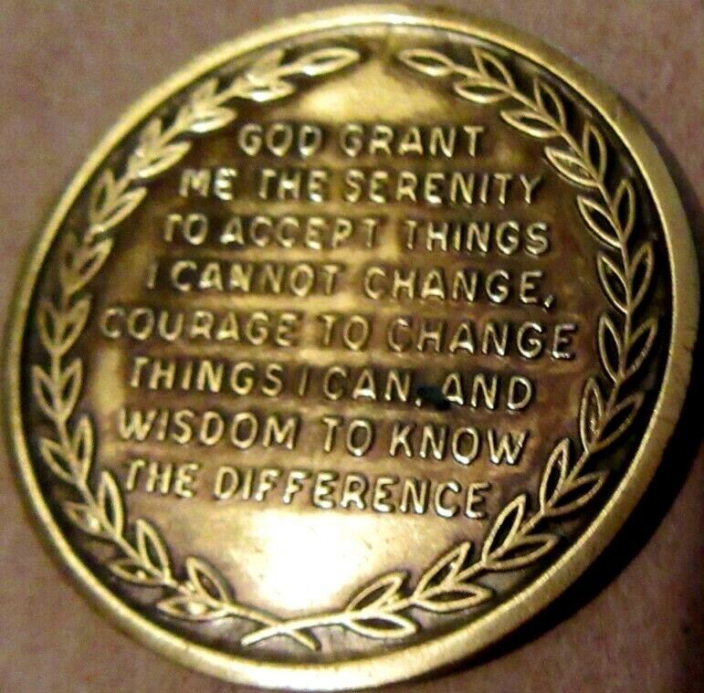 Alcoholics Anonymous AA 12 year Sunshine Bronze Medallion Token chip Sober