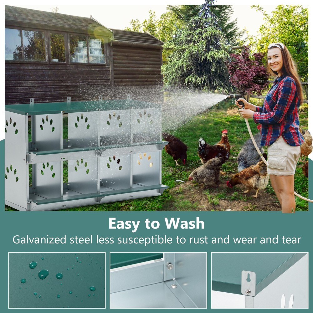 8 Compartment Chicken Nesting Boxes,For Laying Eggs, Metal Poultry Nest Box Wall