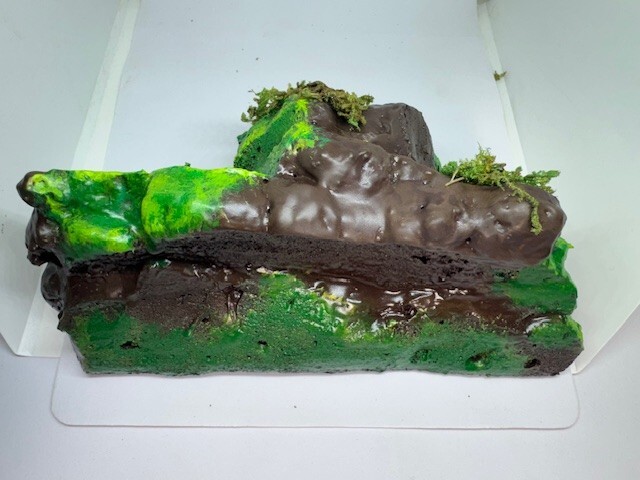 Medium Sub-tropical Magnetic Ledge With 5 Feeder Cups